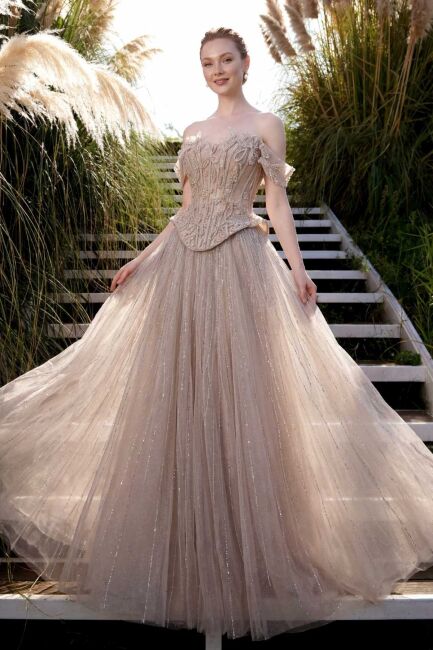 Pudra Düşük Kol Korsaşlı Kloş Taşlı İthal Abiye Elbise 24 - SERABELLA